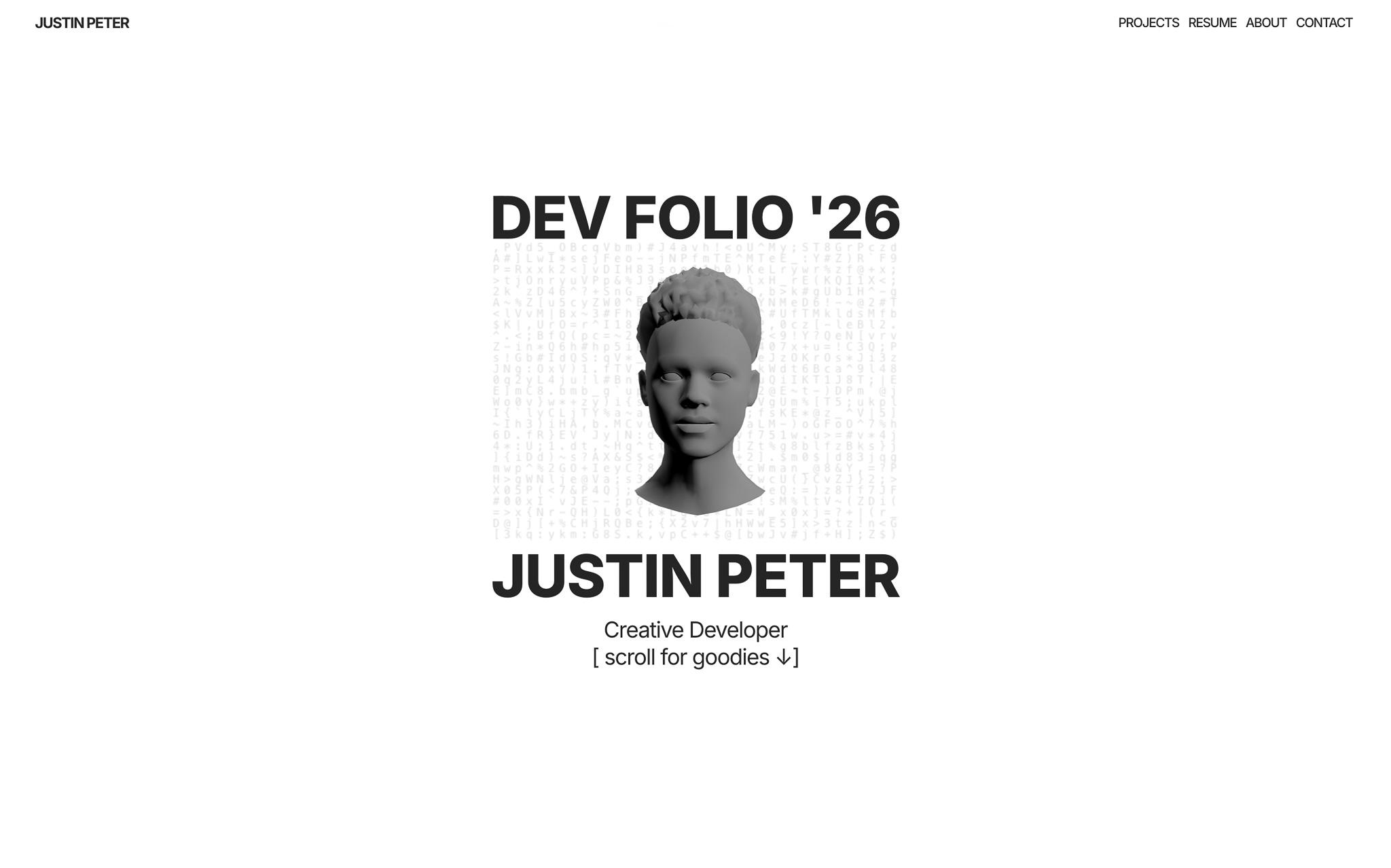 Developer portfolio